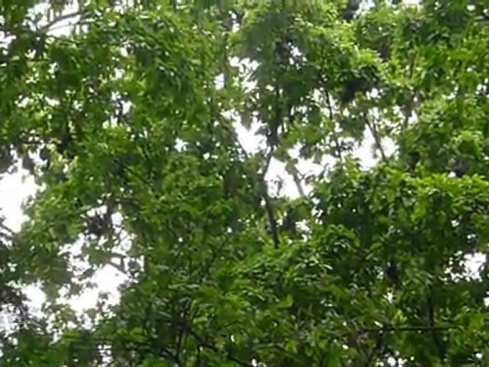 20110521(074201)