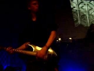 COLLECTION  D'ARNELL  ANDREA