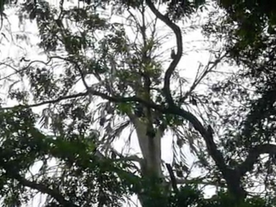 20110521(074300)
