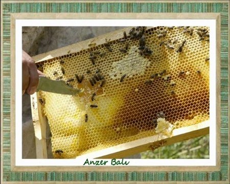 Mehmet Rıfat Yalman İlköğretim Okulu / Rize