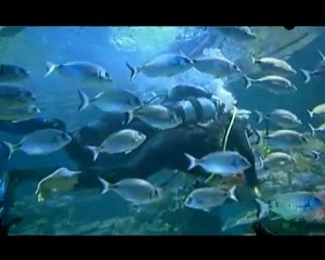 Empati TV - Türkiye Omurilik Felclileri Dernegi 4