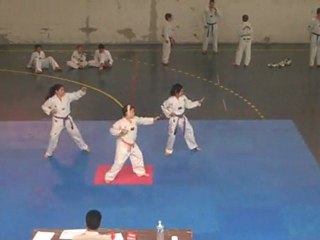 Equipe Poumsé 3 - 2ème Challenge IDF 2011