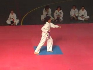 Ibtihal Poumsé 3 - 2ème Challenge IDF 2011