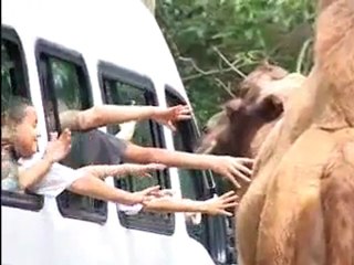 Meio ambiente e seu filho