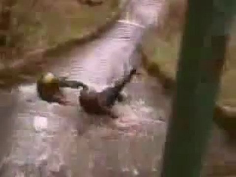 0357 - Régis descend un caniveau en rappel