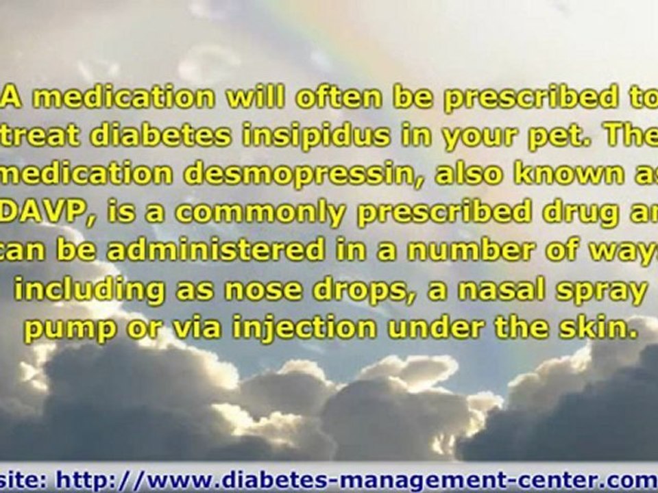 Canine Diabetes Insipidus – Know The Signs, Symptoms and Treatments