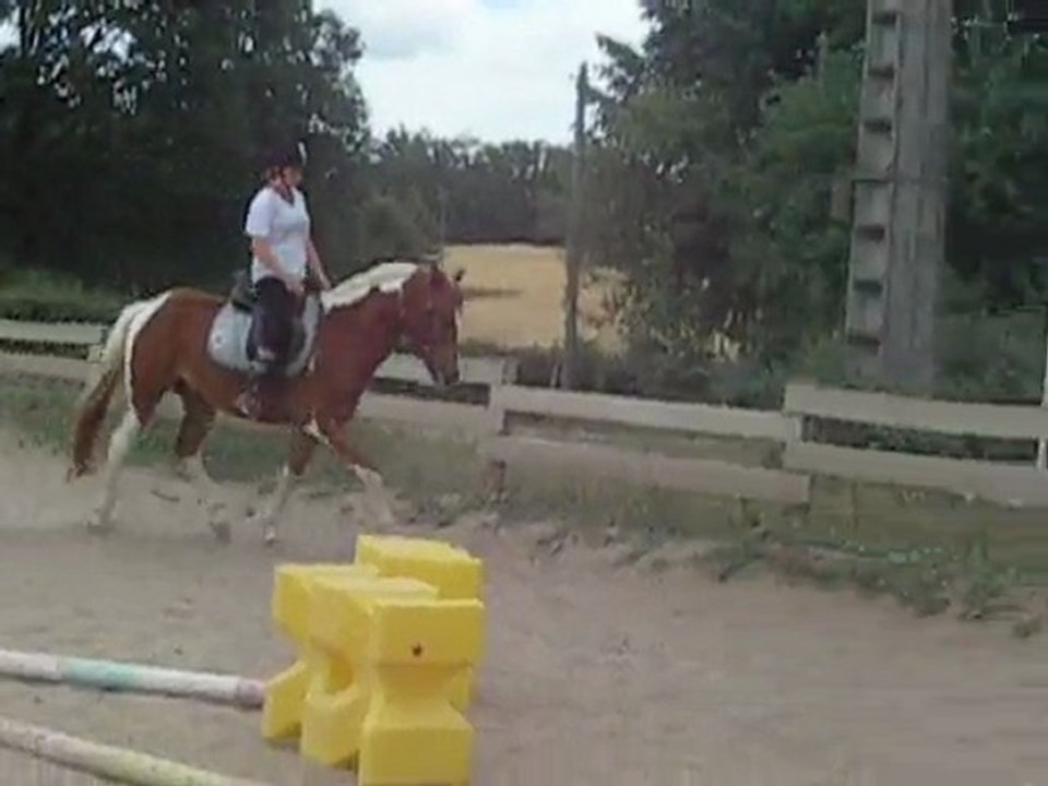 roissam du corrado sur le plat