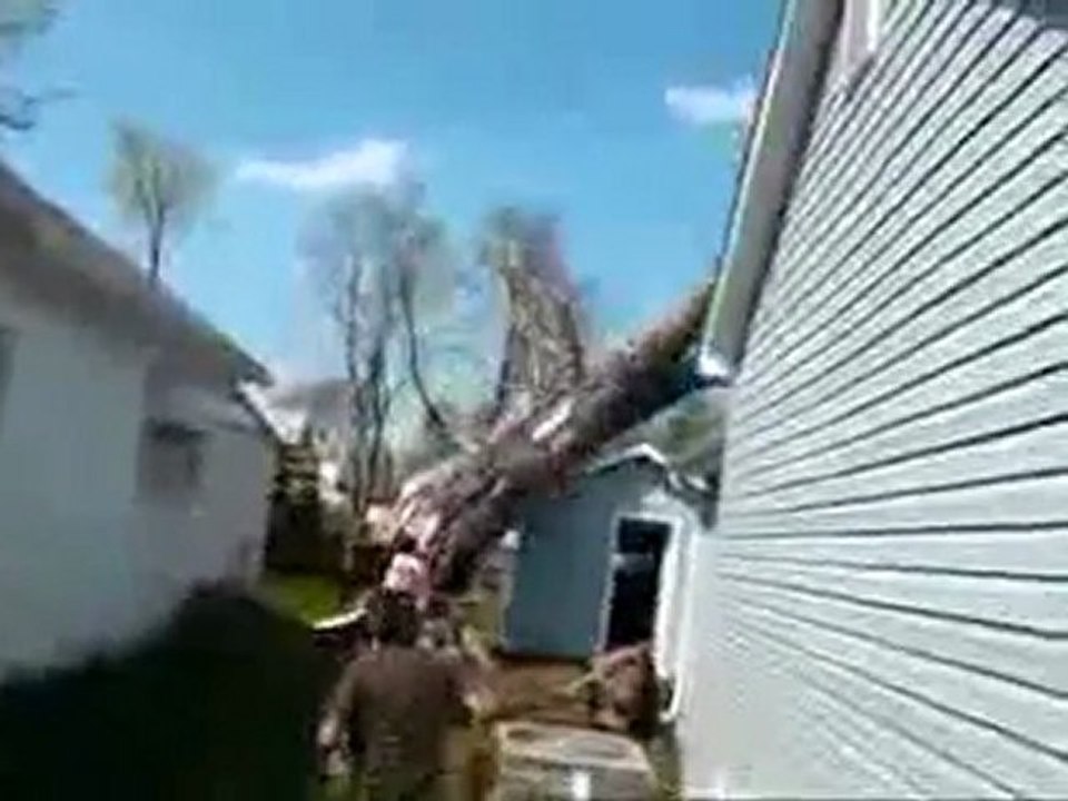 0363 - Régis coupe un arbre