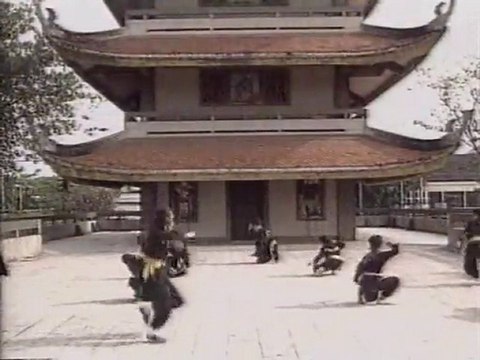 Vovinam Viet Vo Dao - Techniques pour débutant