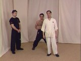 Wing Tsun Kung Fu - Techniques pour débutant
