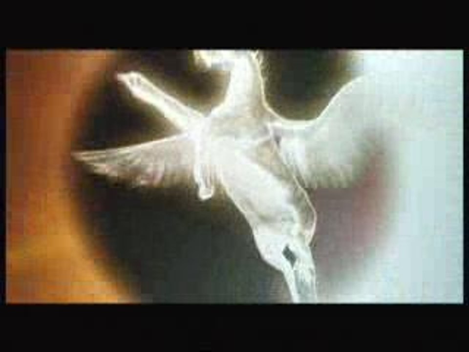 The grudge - french trailer