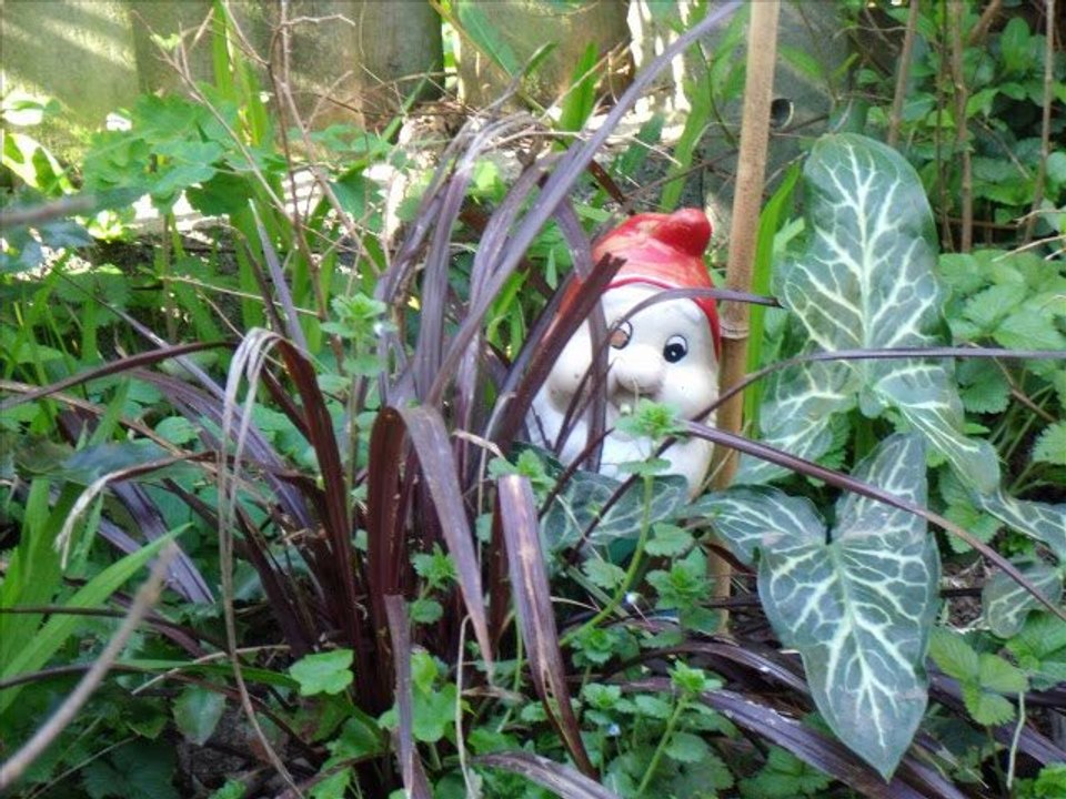 Brigitte Fontaine et Bertrand Cantat - Les Vergers