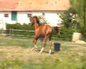 angel 2 le 27 mai 2011