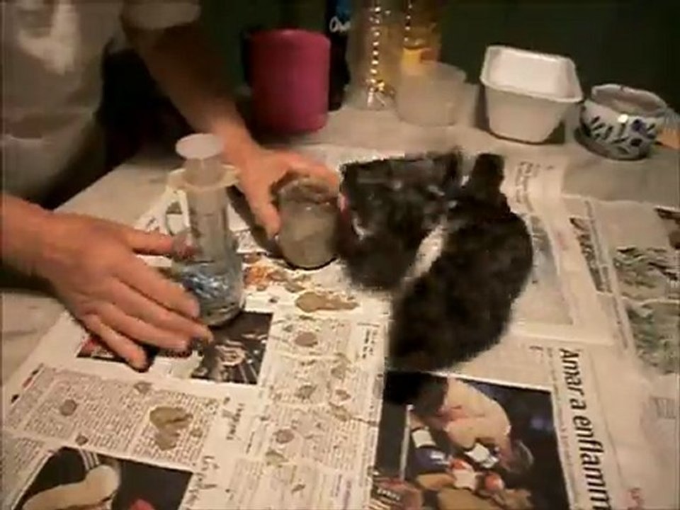 bébé pigeon casse la graine !