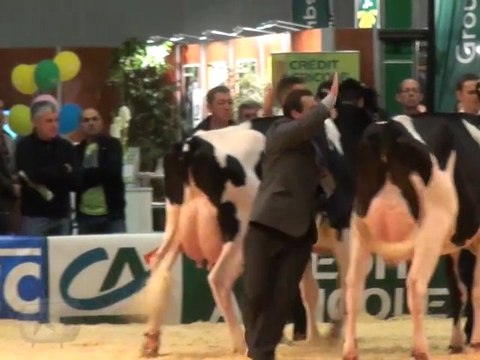 PRIM'HOLSTEIN 2011 - Quelques images du jugement des sections Espoir