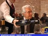 MINERVINO MURGE | RADICI DEL SUD 2011