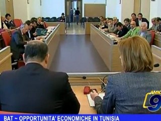 BAT   Opportunità economiche in Tunisia