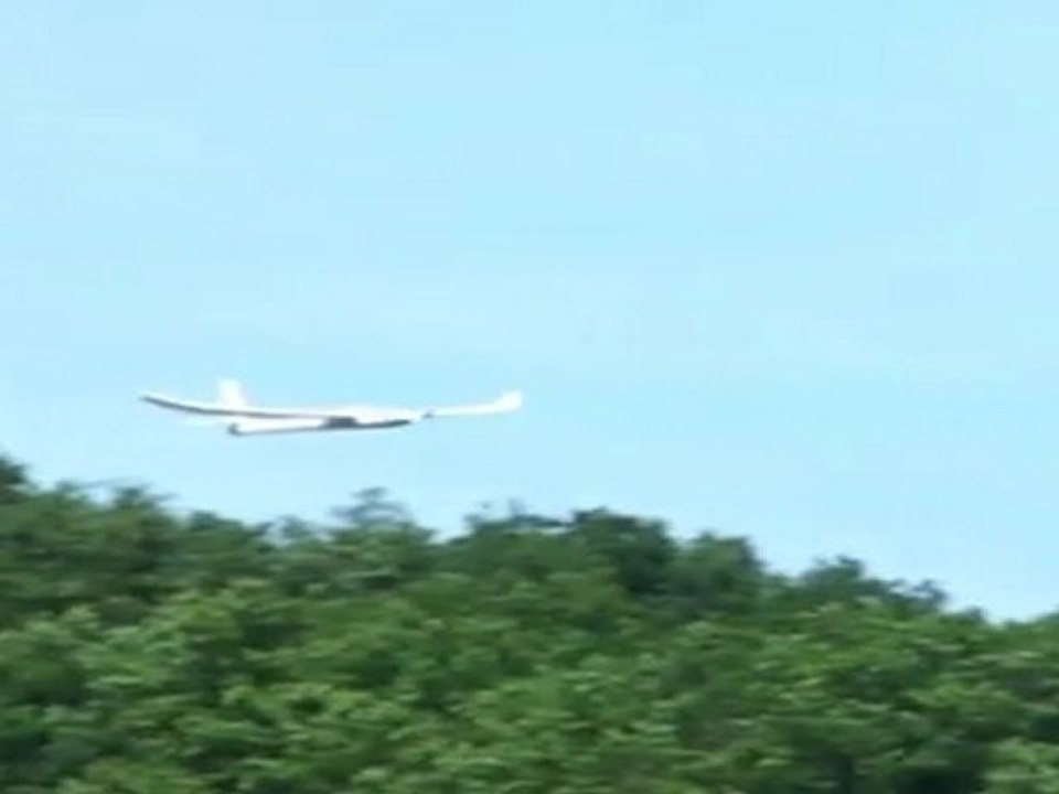 EasyGlider & Sparrow ( J.R )