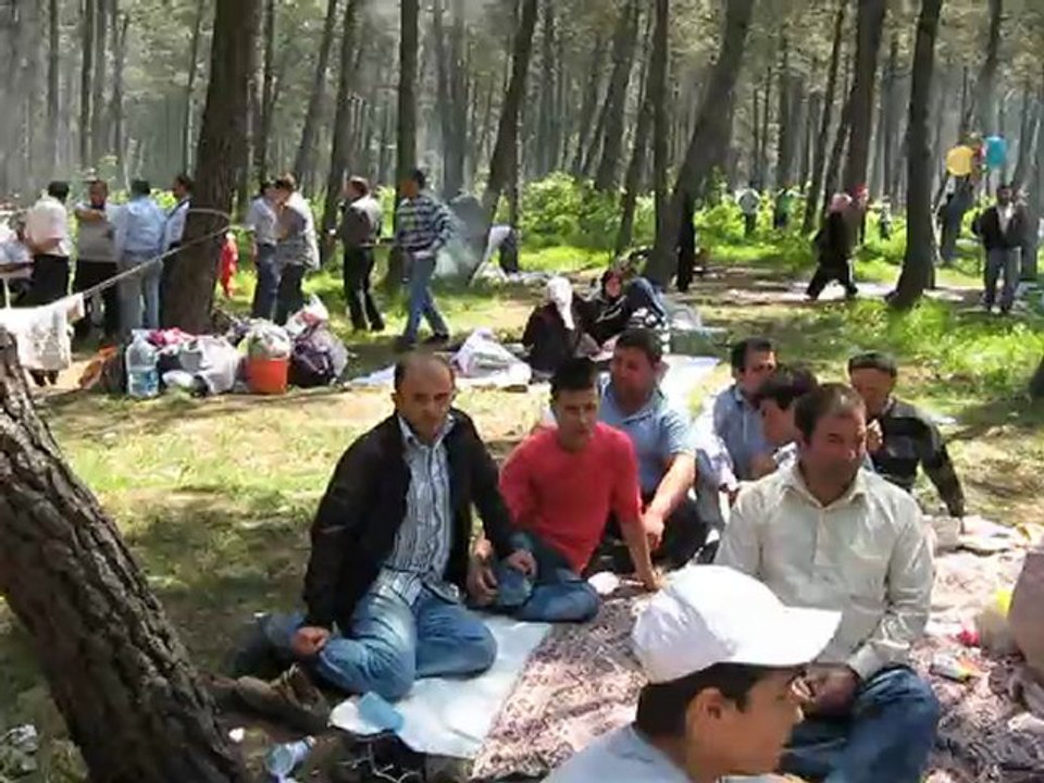 NİKSAR GÖKÇELİ DERNEĞİ, GELENEKSEL ALTINCI PİKNİK ŞÖLENİ- 22 MAYIS 2011 TAŞOLUK