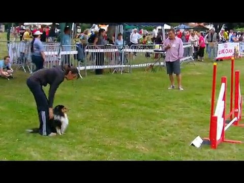 21 et 22 mai 2011 acrocs selectif trophee par equipe grande region sud ouest