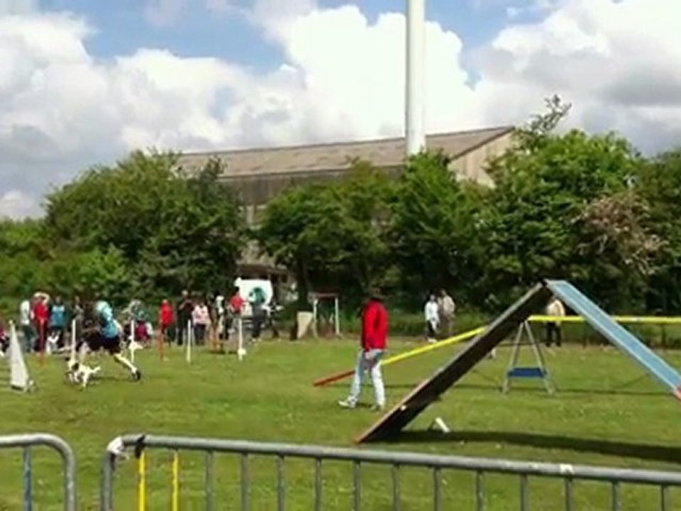 Landerneau antoine brezhoneg 2011