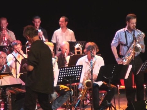 Le Saint Louis Blues Band en Concert à l Espace 110 d Illzach