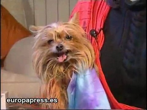 Concha Velasco espera su primer nieto