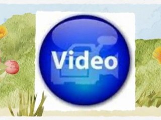 The Video Boss - Andy Jenkins