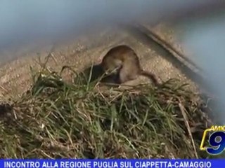 Incontro alla Regione Puglia sul Ciappetta-Camaggio