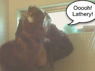 Dr. Zoog's Herbal Shampoo for wookies.