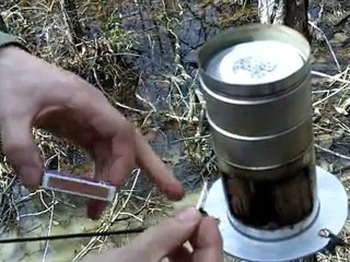 Swamp Kitchen Swamp Chair