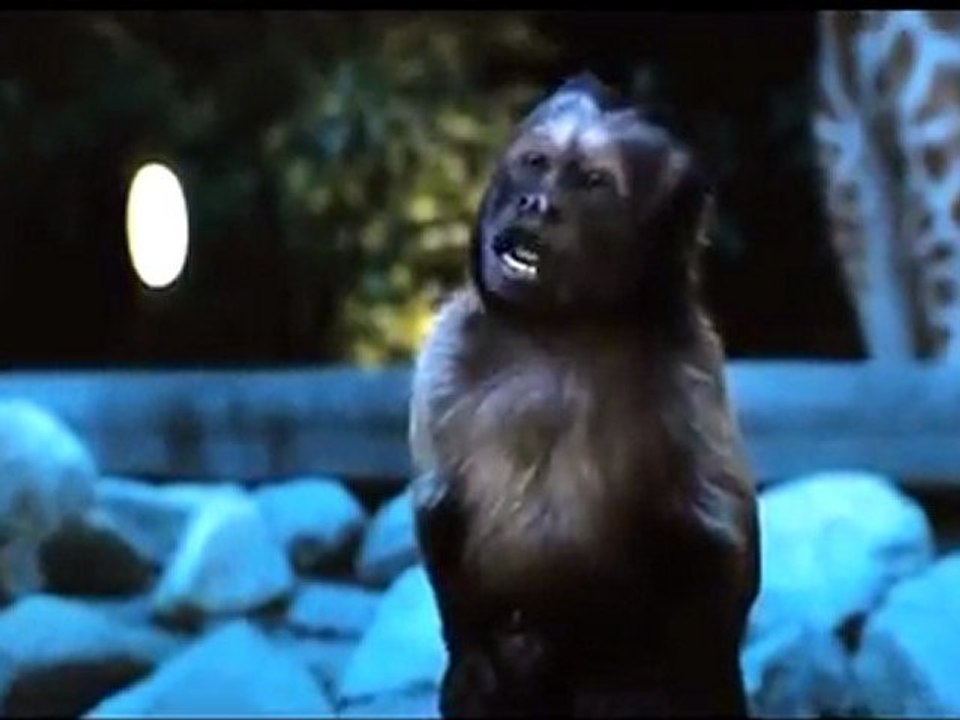 Zookeeper TV Spot 2