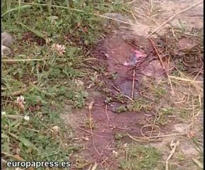 Muere tras caerse de una torre de alta tensión