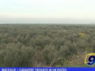 Bisceglie | Cadavere trovato in un pozzo
