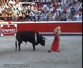Toros para las tarde veraniegas
