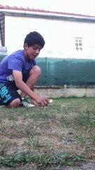 Pétard Pyra Cracker