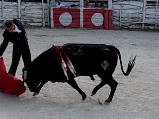 Marco Léal à la Monumental de Gimeaux
