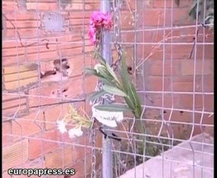 Un niño muere ahogado en un pozo