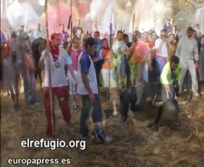 El refugio vive el terror en Tordesillas