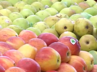 Especial Emagrecimento: Como comer corretamente