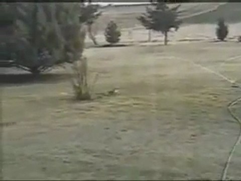 Psikopat Tavşan ve Korkak Yılan avyaban.com - ergo