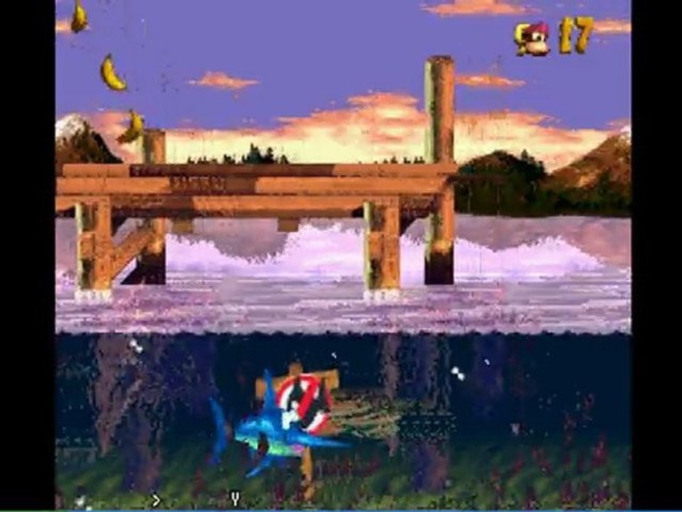 WT3 Donkey Kong Country 3