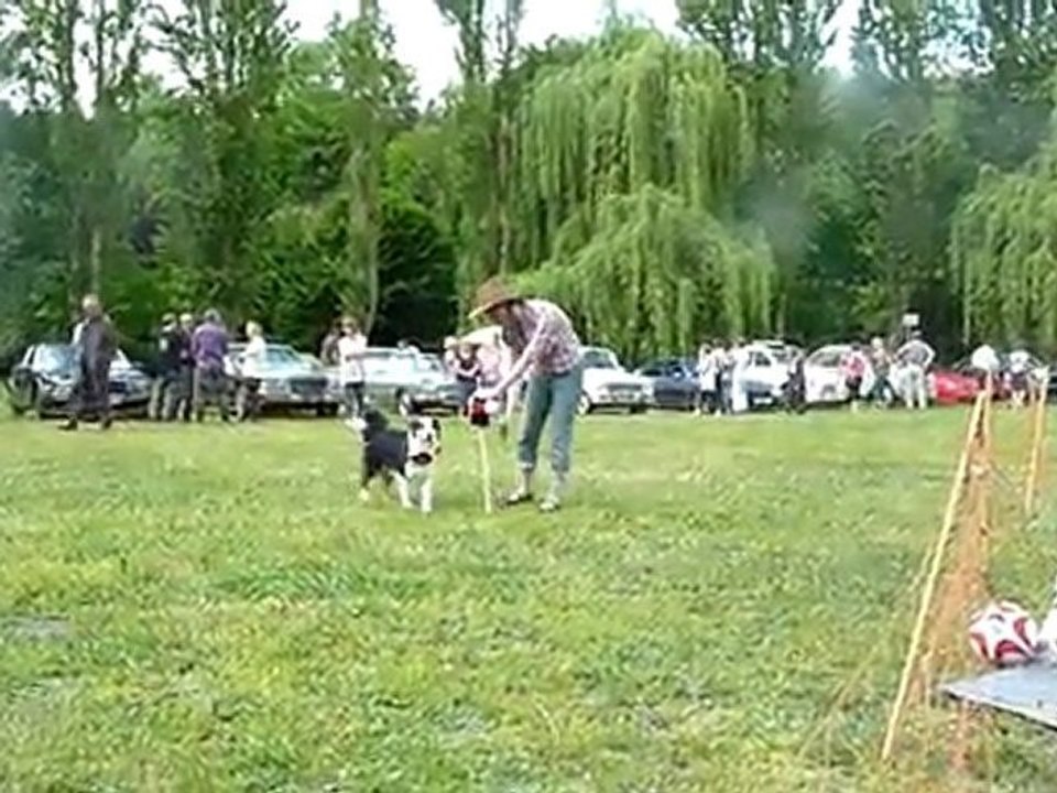 Démonstration d'obérythmée