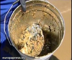 Siguen trabajando para limpiar las playas