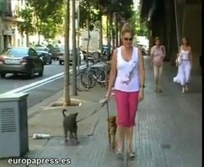 Belén Esteban se va a Peñíscola