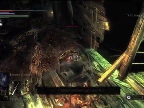 Guide Demon's Souls HD FR 031