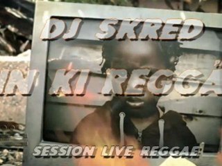 DJ SKRED YIN KI REGGAE PART-3