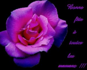 Bonne fête à toutes les Mamans