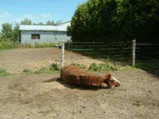 Casey qui s'énerve!