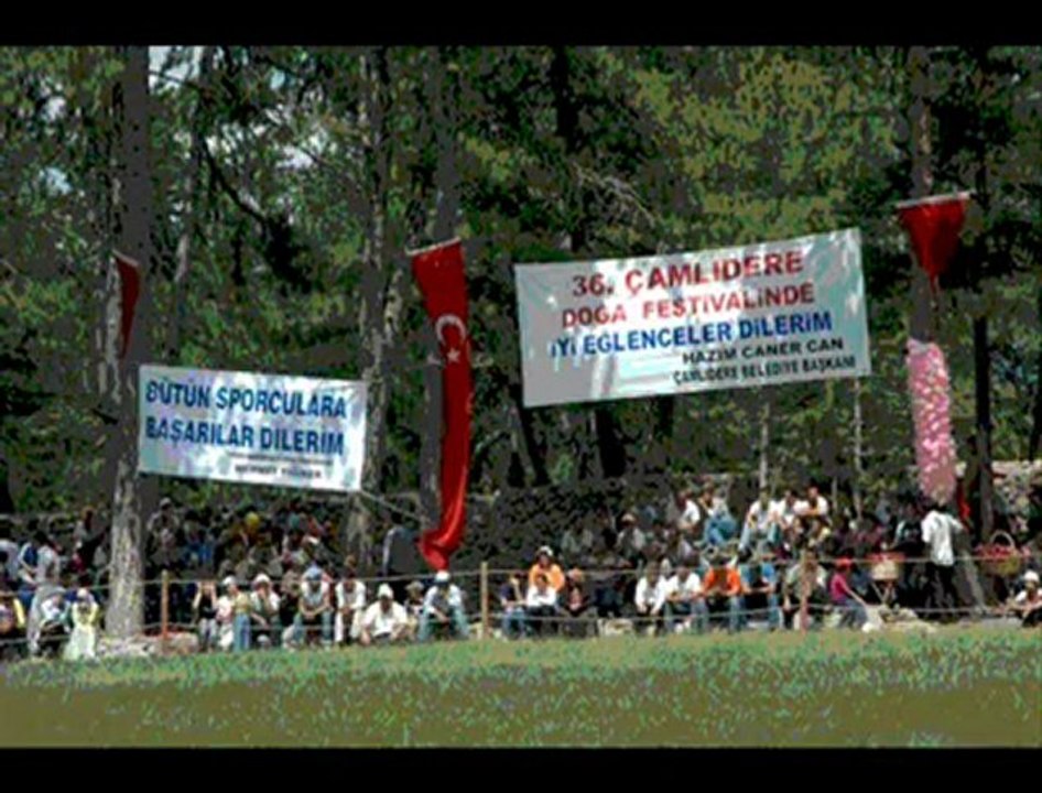 Cafer DİNÇ_ Nar Tanesi